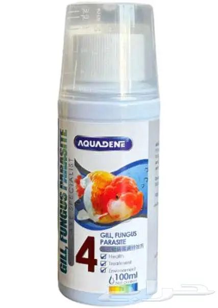 سمك 15 ريال محل نوادر خميس مشيط 1