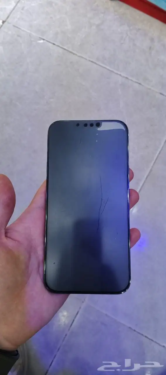 IPhone 13 Pro Max 256GP 3