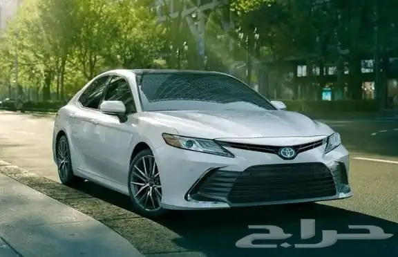 مطلوب مخبط مصدوم 3