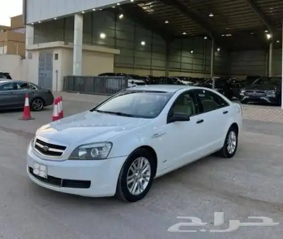 مطلوب مخبط مصدوم 2