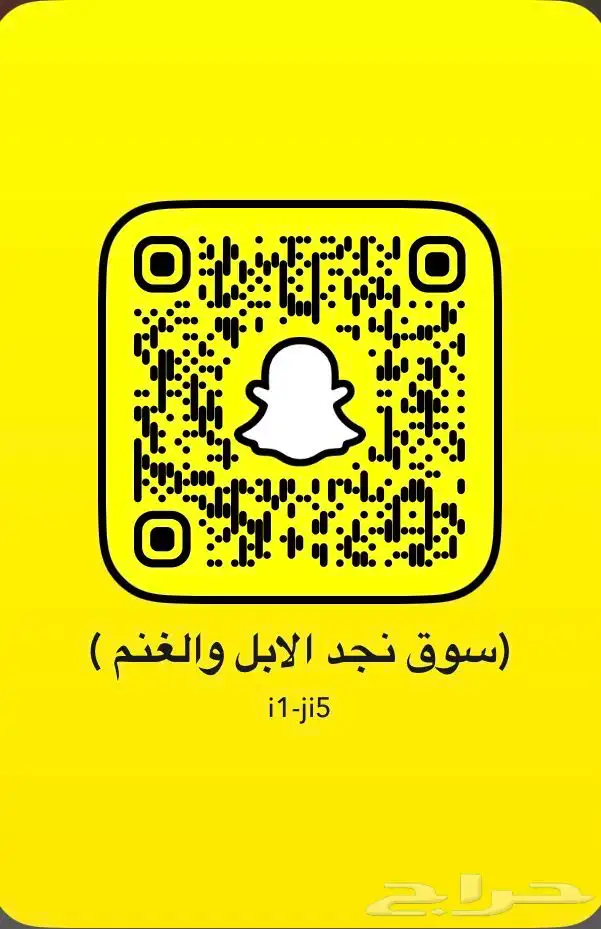 لبيع الحلال 0