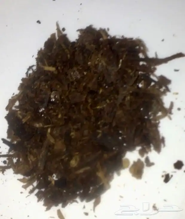 عود بخور كمبودي 50 سنة مخزن داخل الكيس 6