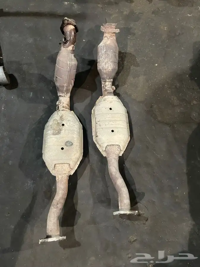 دبات تلوث فكتوريا 0