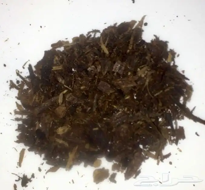 عود بخور كمبودي 50 سنة مخزن داخل الكيس 9