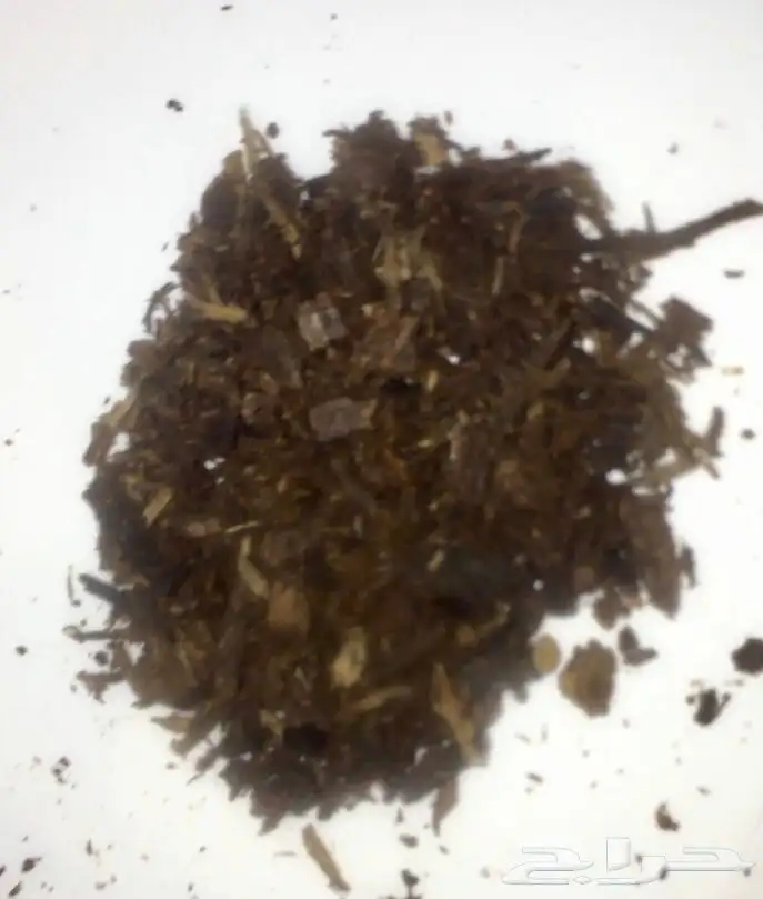 عود بخور كمبودي 50 سنة مخزن داخل الكيس 7