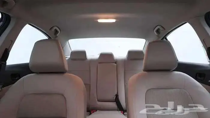 التيماء استاندر 2025 8