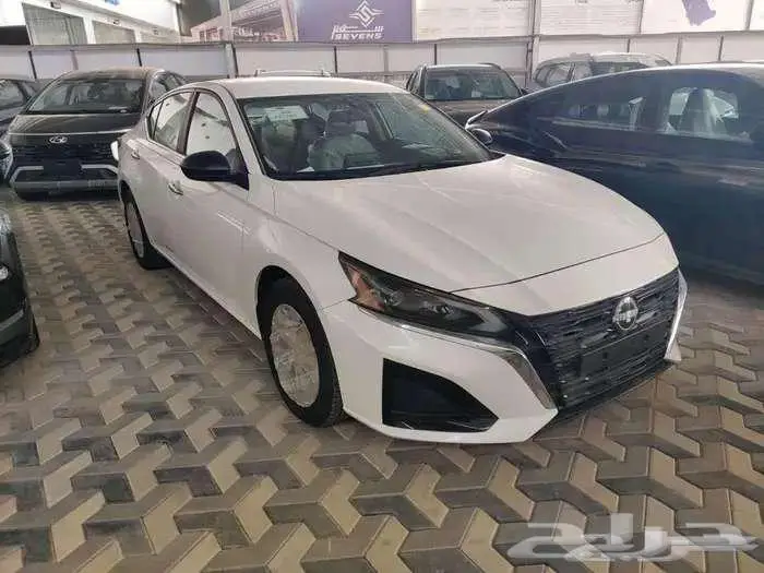 التيماء استاندر 2025 1