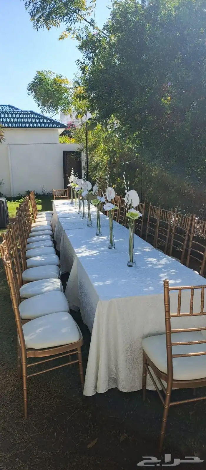 تاجير كراسي وطاولات 11
