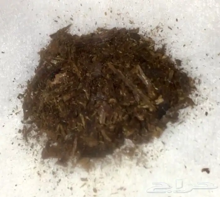 عود بخور كمبودي 50 سنة مخزن داخل الكيس 4