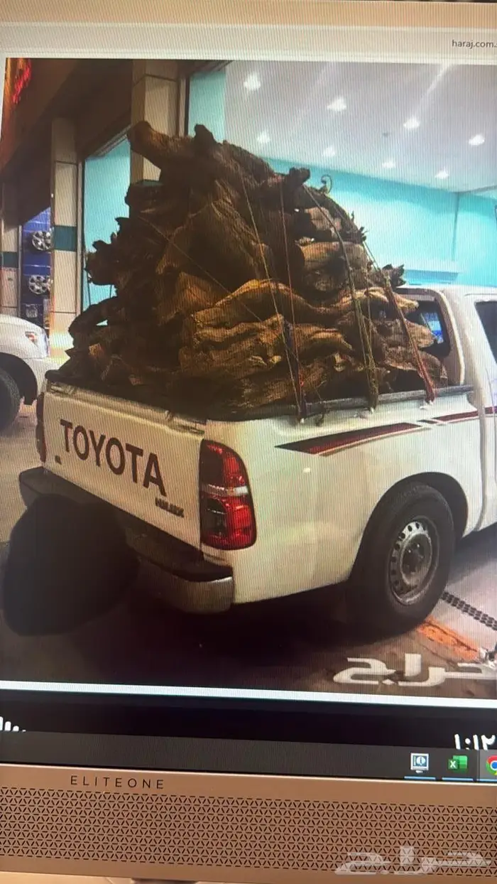 ح طب تواصل الصامل واتس 0