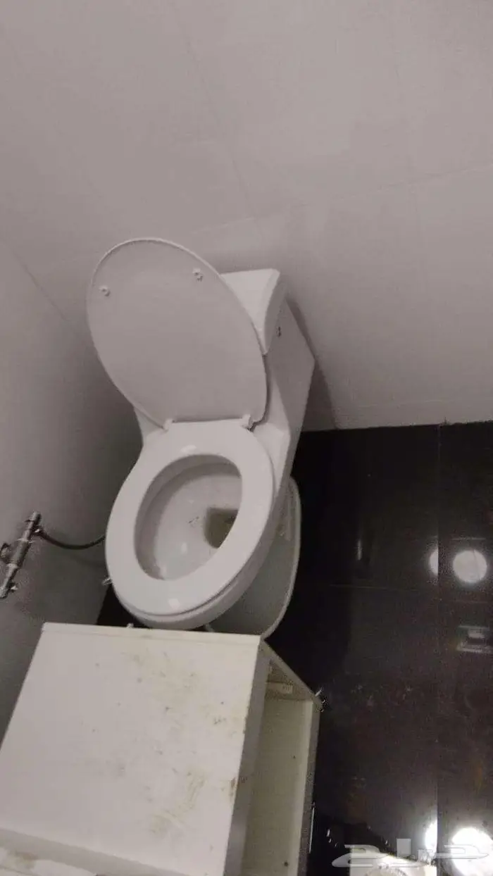 مغاسل و كراسي افرنجي 15