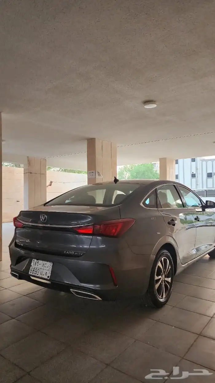 شانجان ايدو 2023 4