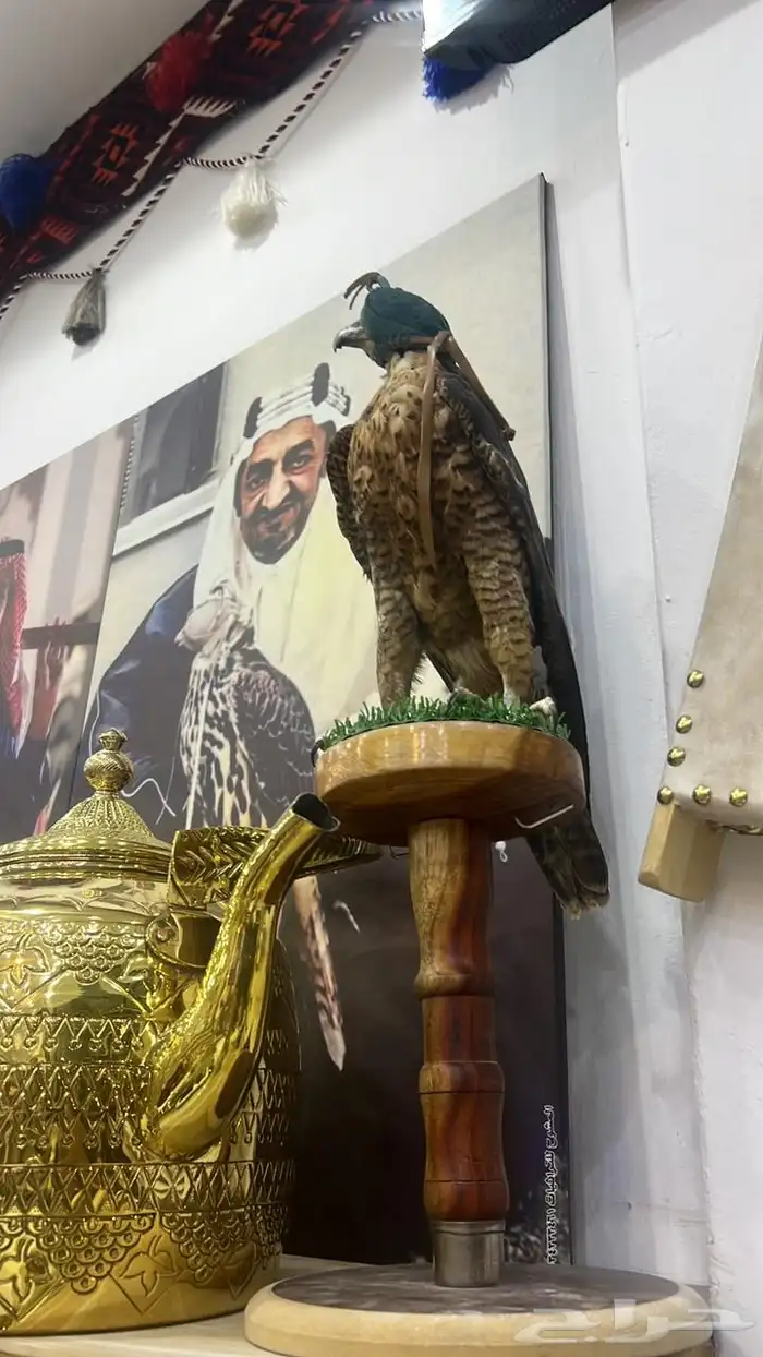 بيوت شعر جديدة ابيض واسود جميع المقاسات وخيم 13