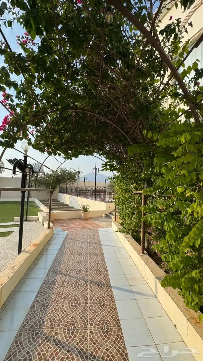 فيلا أستراحة فاخرة للبيع النعمان خلف محطه تحلية المياة 23