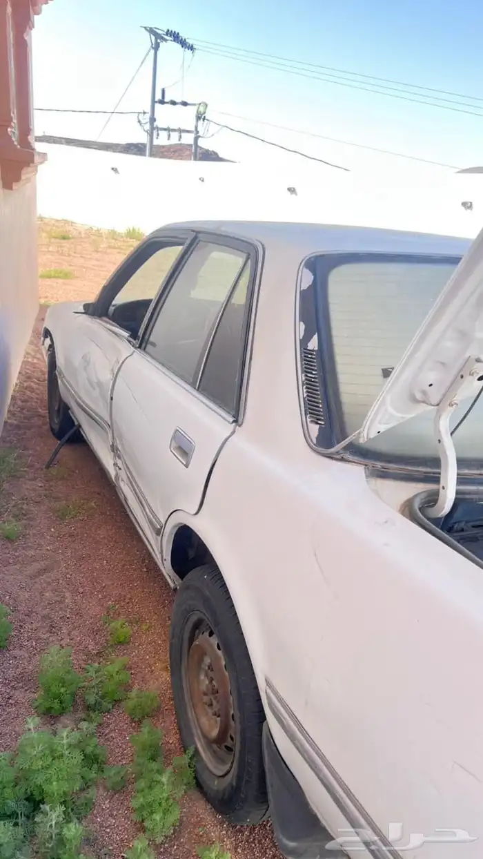 بيع كراسيد مطوفه 6