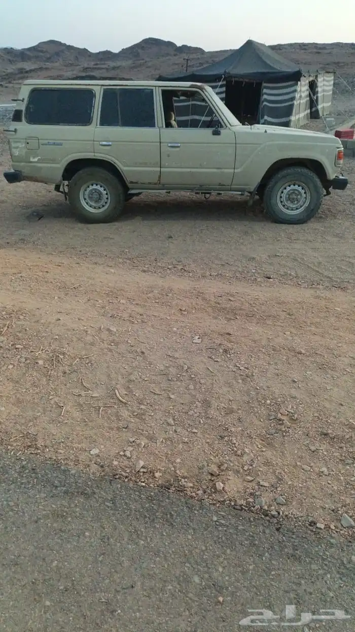 جيب صالون للبيع 0