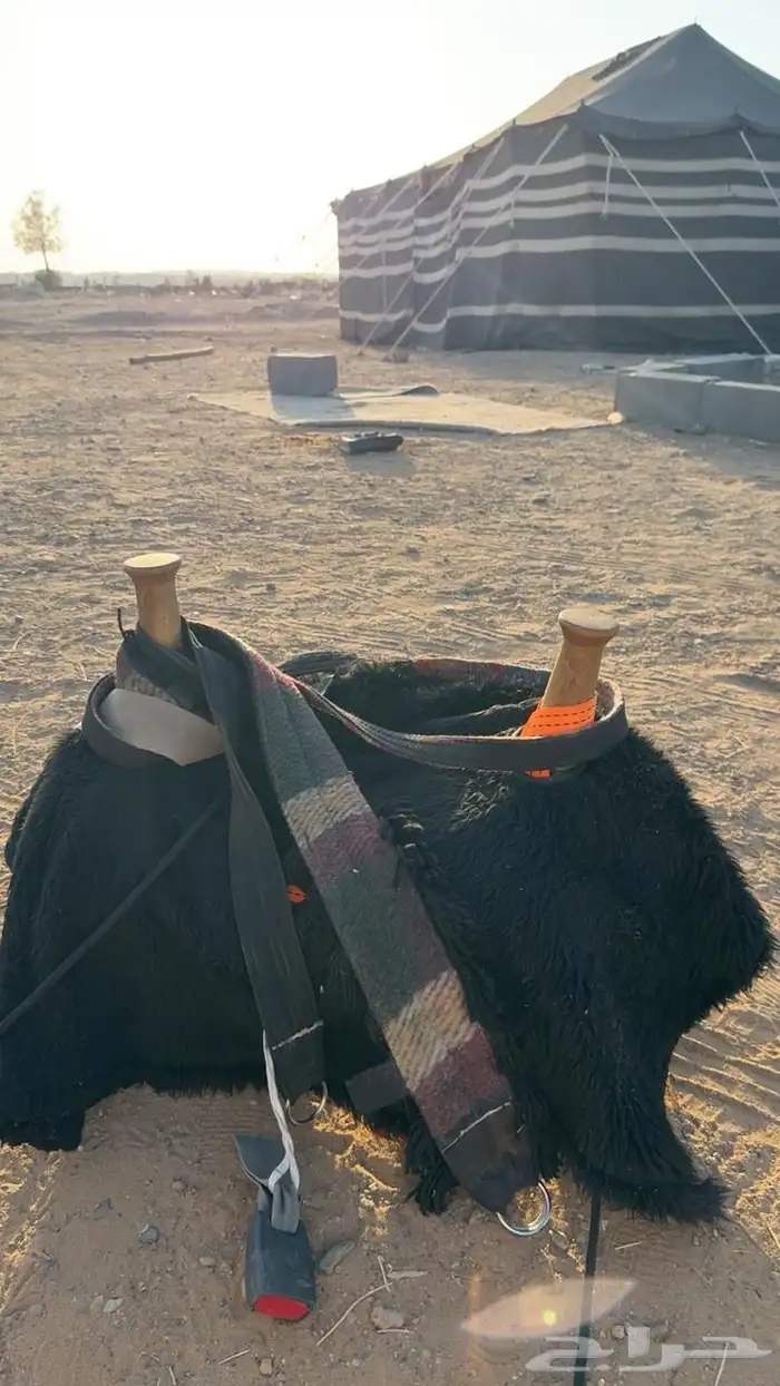 شداد بي كامل اغراضه 0