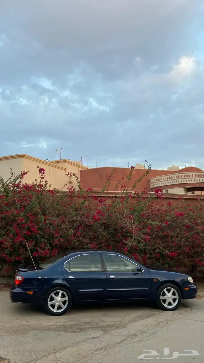 مكسيما 2006 للبيع 0