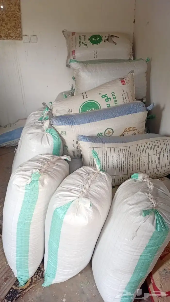 حناء ينبع النخل 0