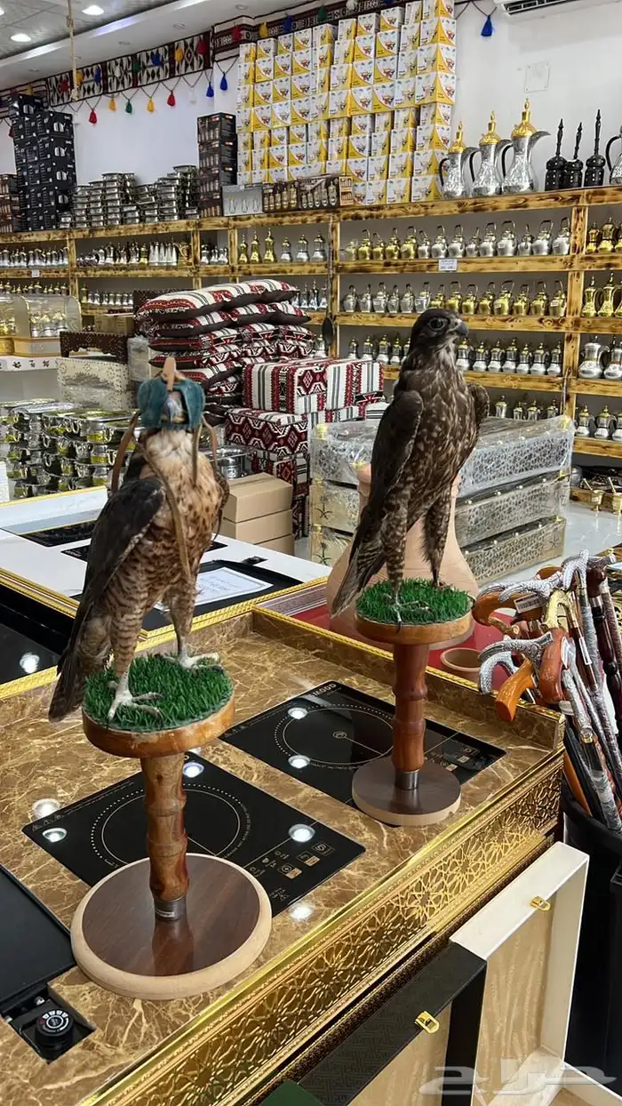 بيوت شعر جديدة ابيض واسود جميع المقاسات وخيم 14