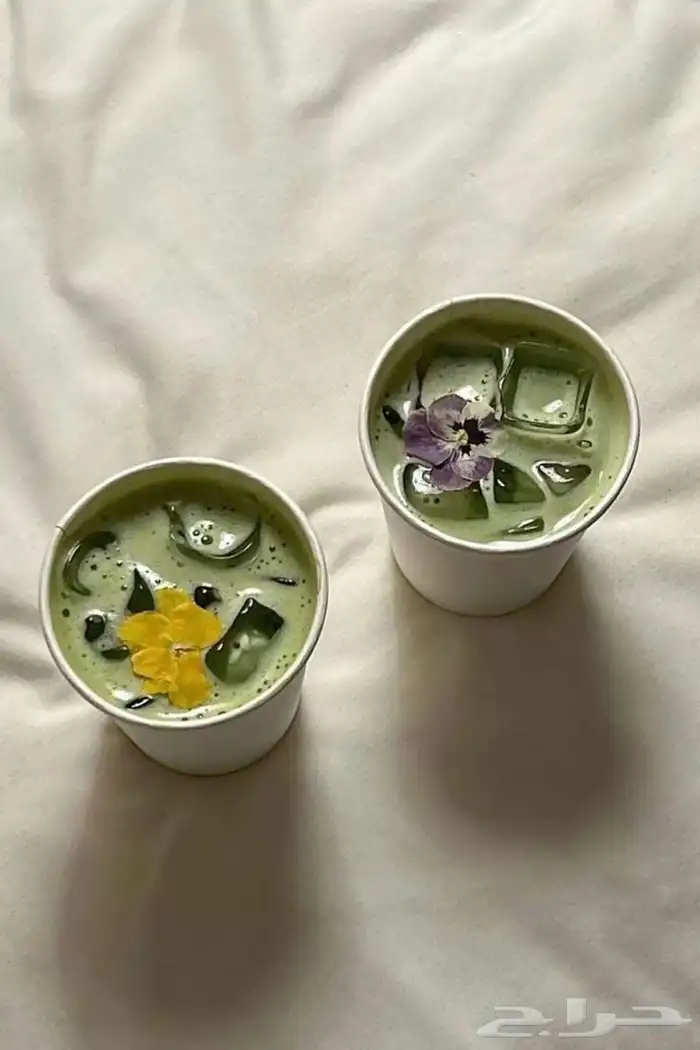 ماتشا جمله 6