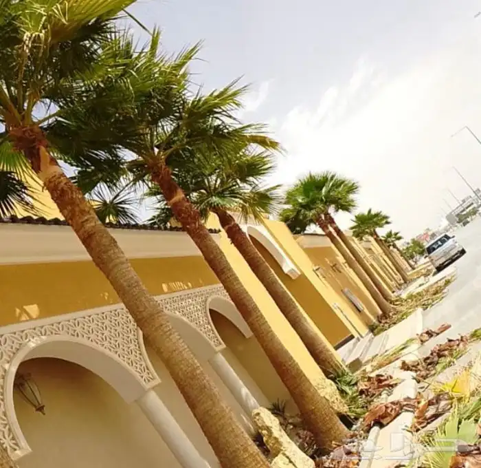 تكريب واشنطني الزينه 1