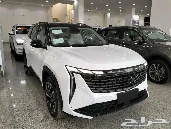 جيلي ستار راي 2024 جميع الفئات بأقل سعر 0