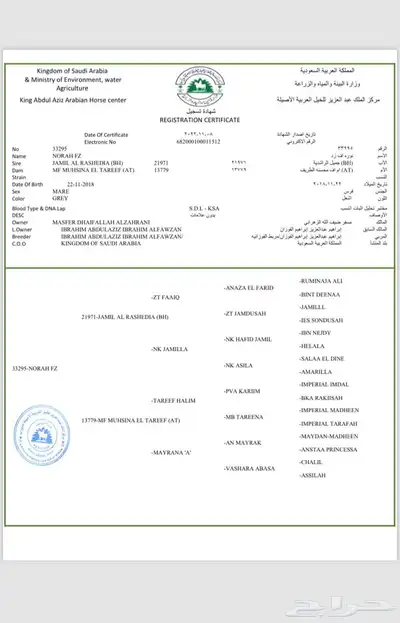 فرس مصريه index