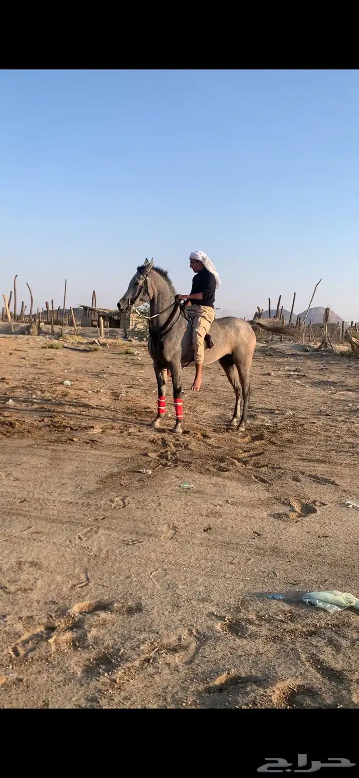 مهره شعبيه كفوو 0