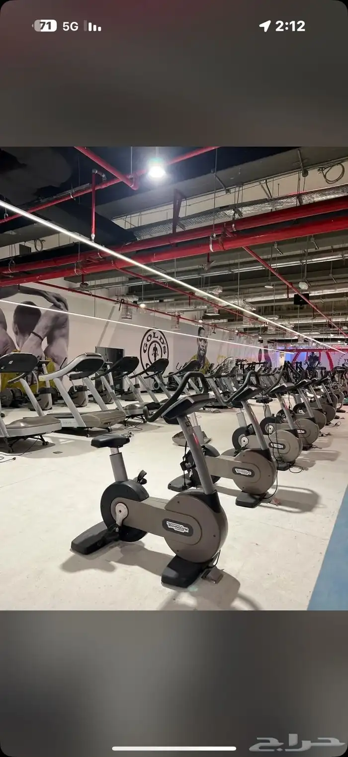 (Golds Gym )اشتراك جيم 2