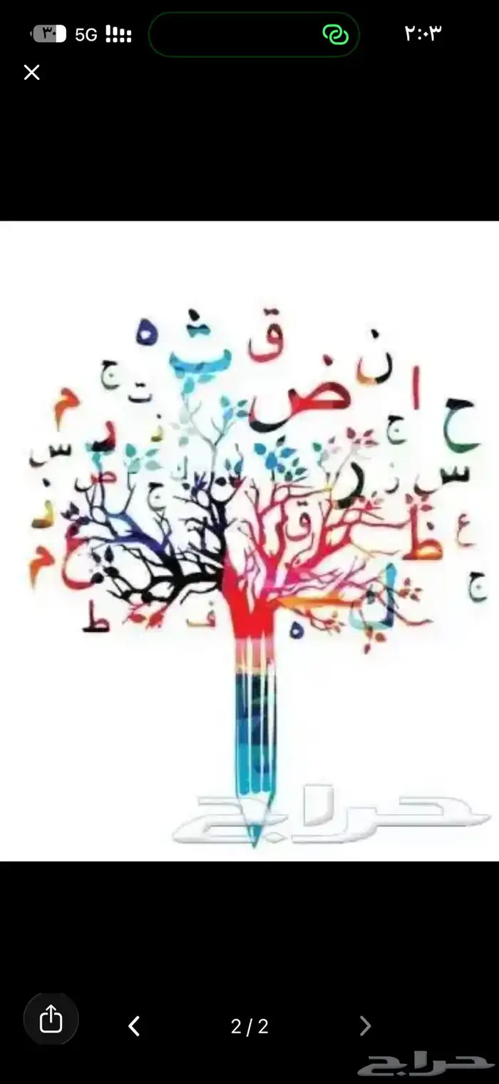 معلمه مصريه تأسيس ومتابعه ومرحله اولي أسس ابنك صح 4