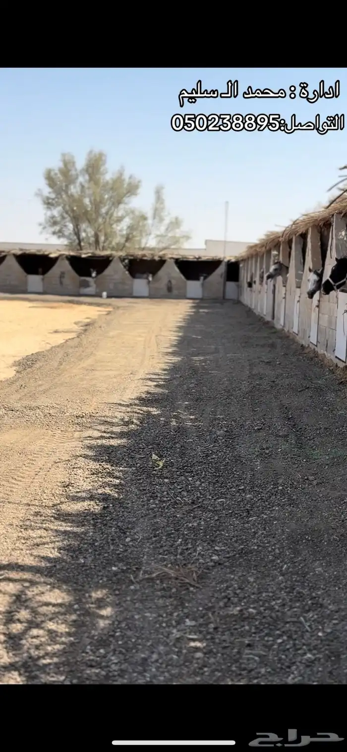 أعمال تربه و أسفلت 1