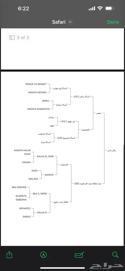 حصان واهو فاخر مصري index
