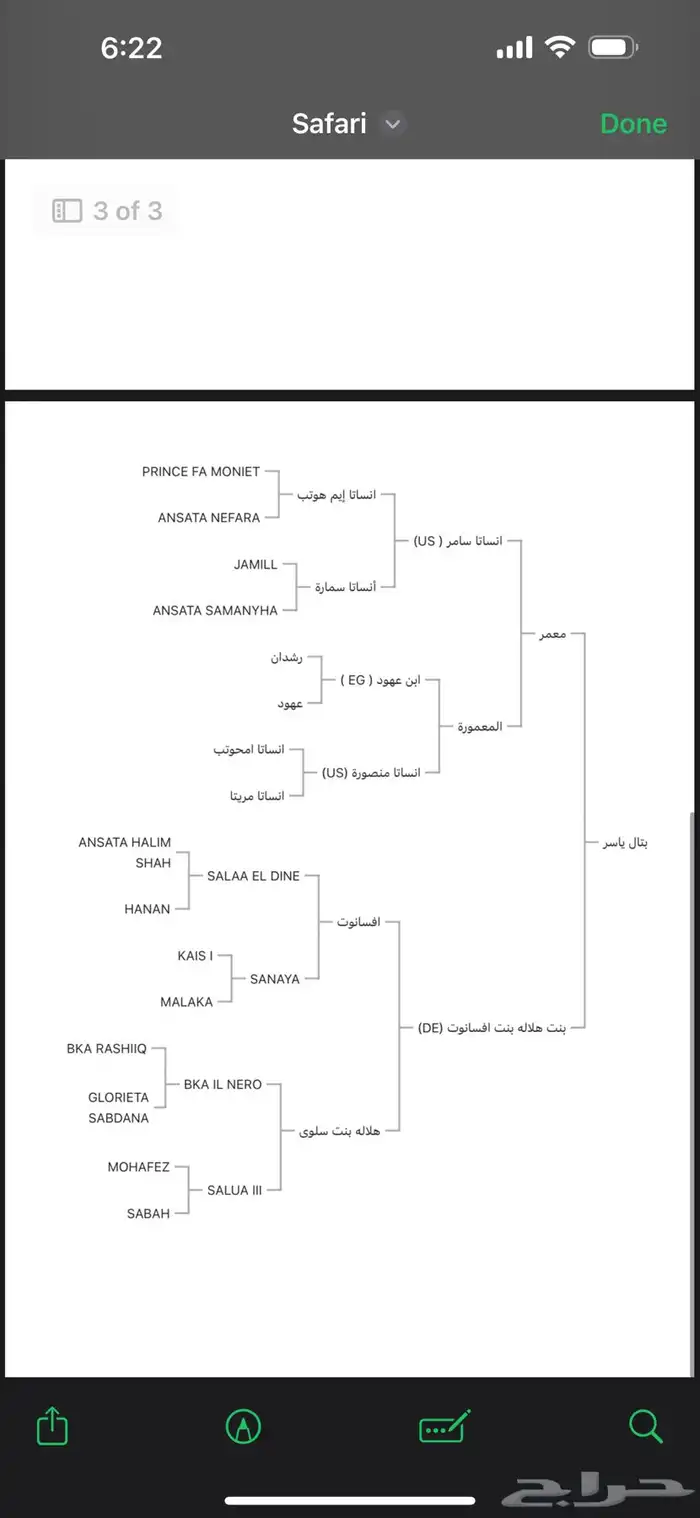 حصان واهو فاخر مصري 1