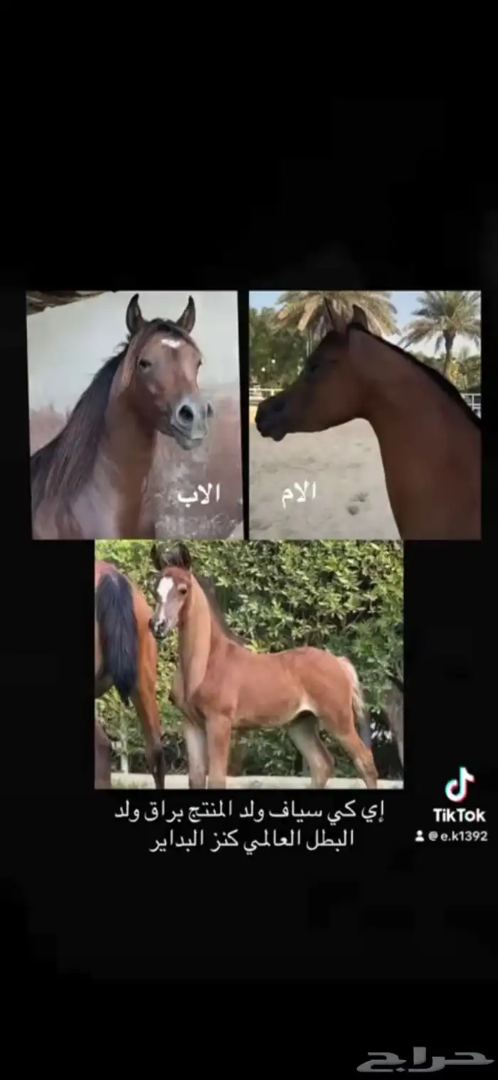 مهر خط جمال 1