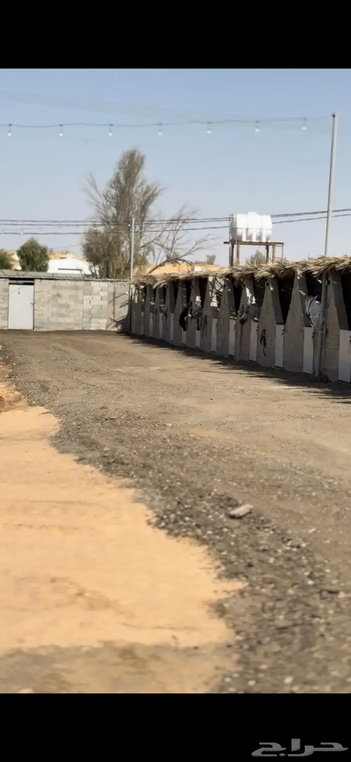 أعمال تربه و أسفلت 2