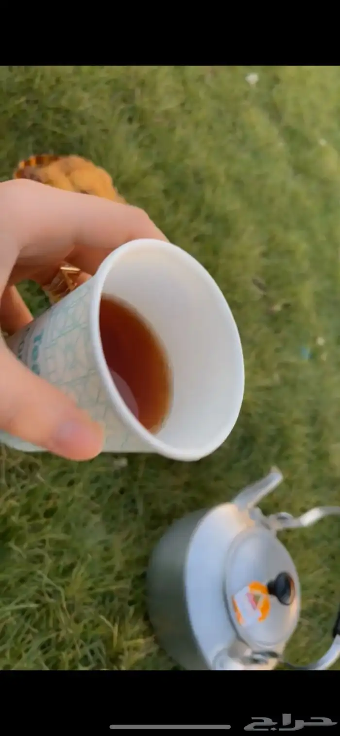 كيك الجبنه 1