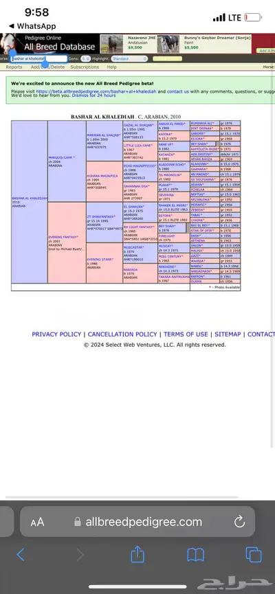 فحل مربط من الخالدية index