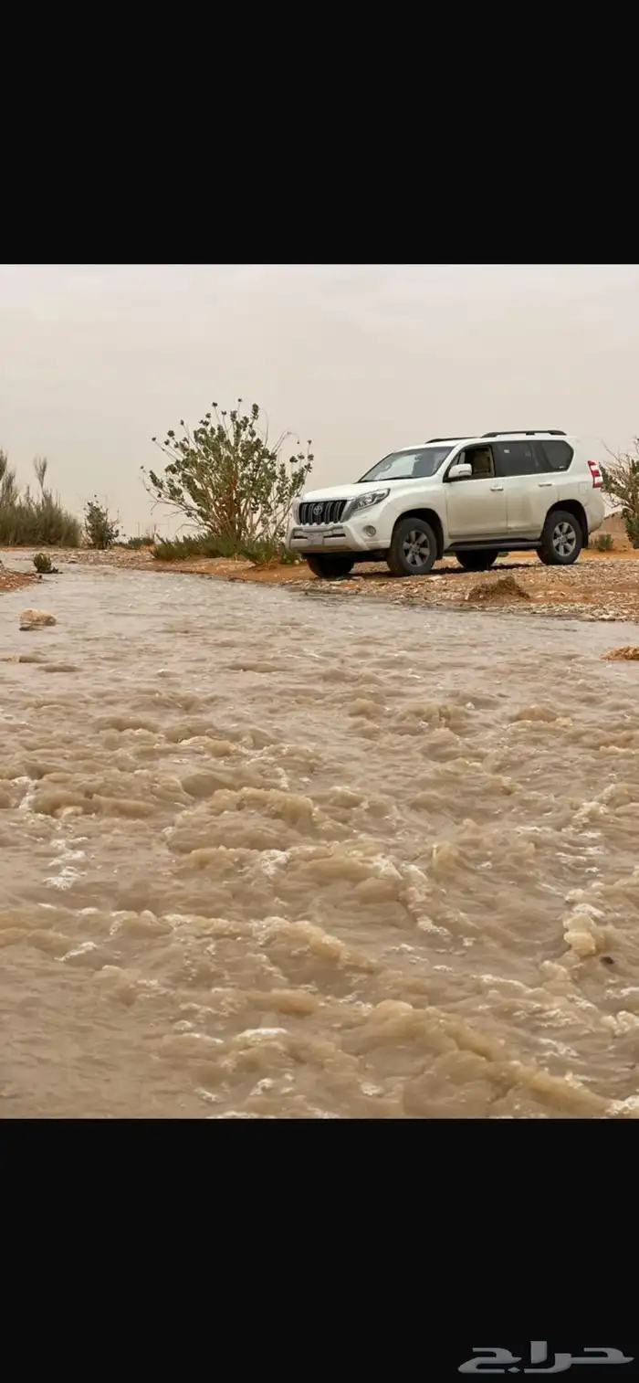 برادو 2014 TXL2 ممشاه 150 0