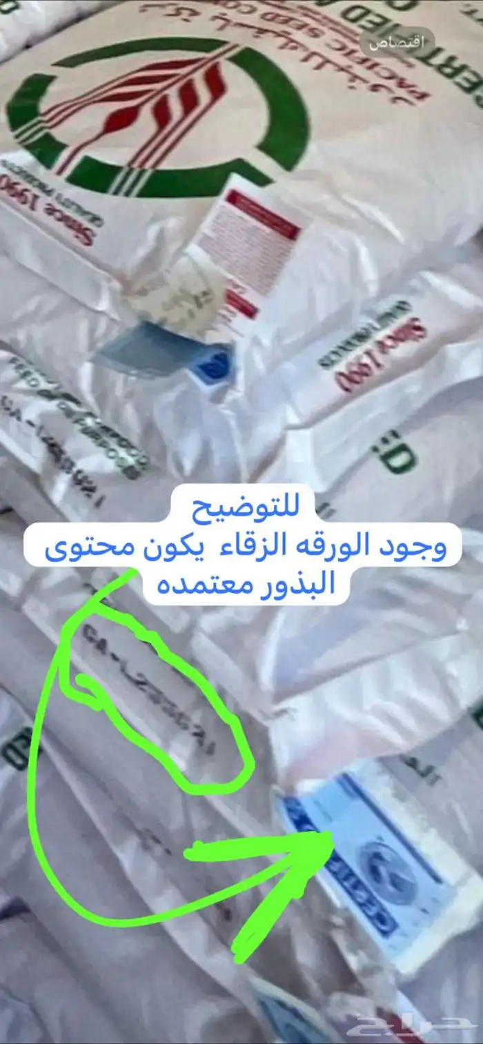 بذور برسيم باسفيك . المعتمد 2