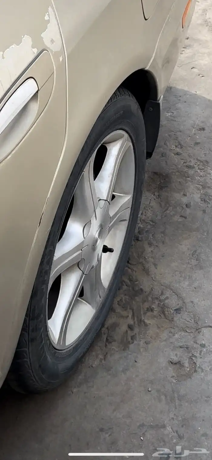 قطع مكسيما 5