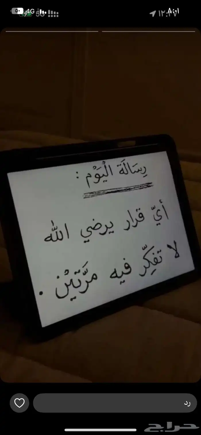 مطلوب مطلوب شقة نظيفة في حي الجامعه في مخطط أ او الروضة 0