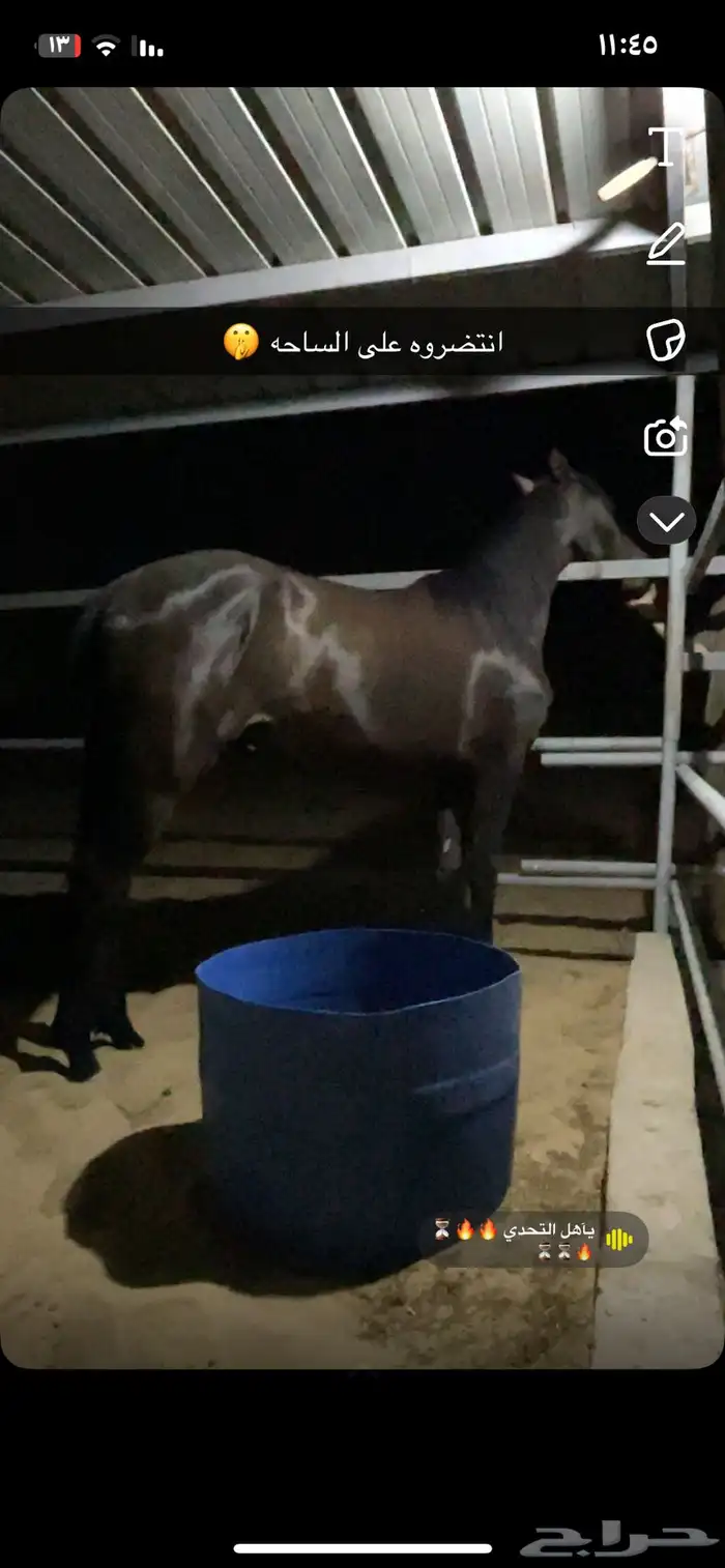 مهر جزيري جبر 0