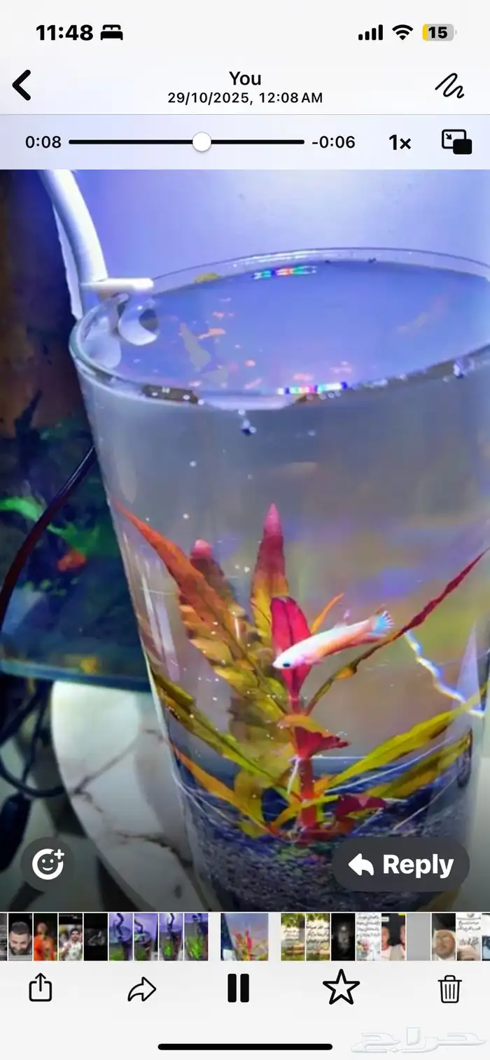 حوض مكتبي نهري 6