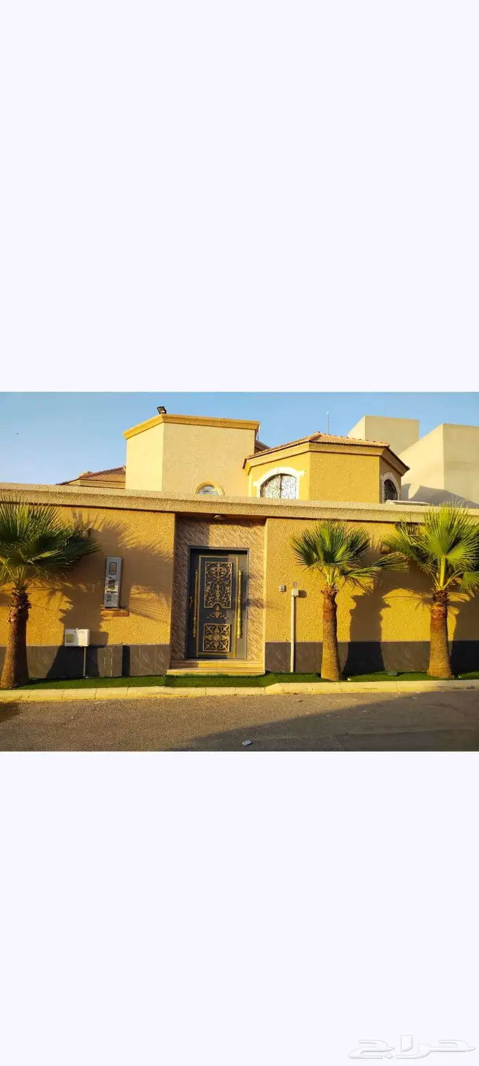 نخل وشنطني 1