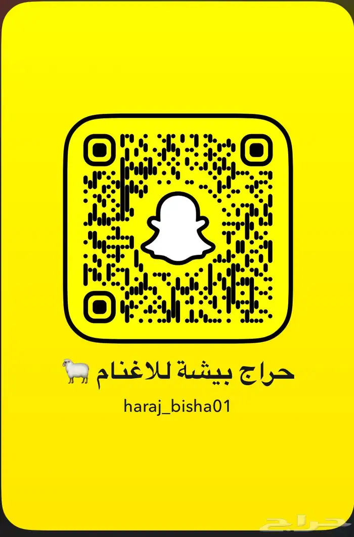 وسيط اغنام 0