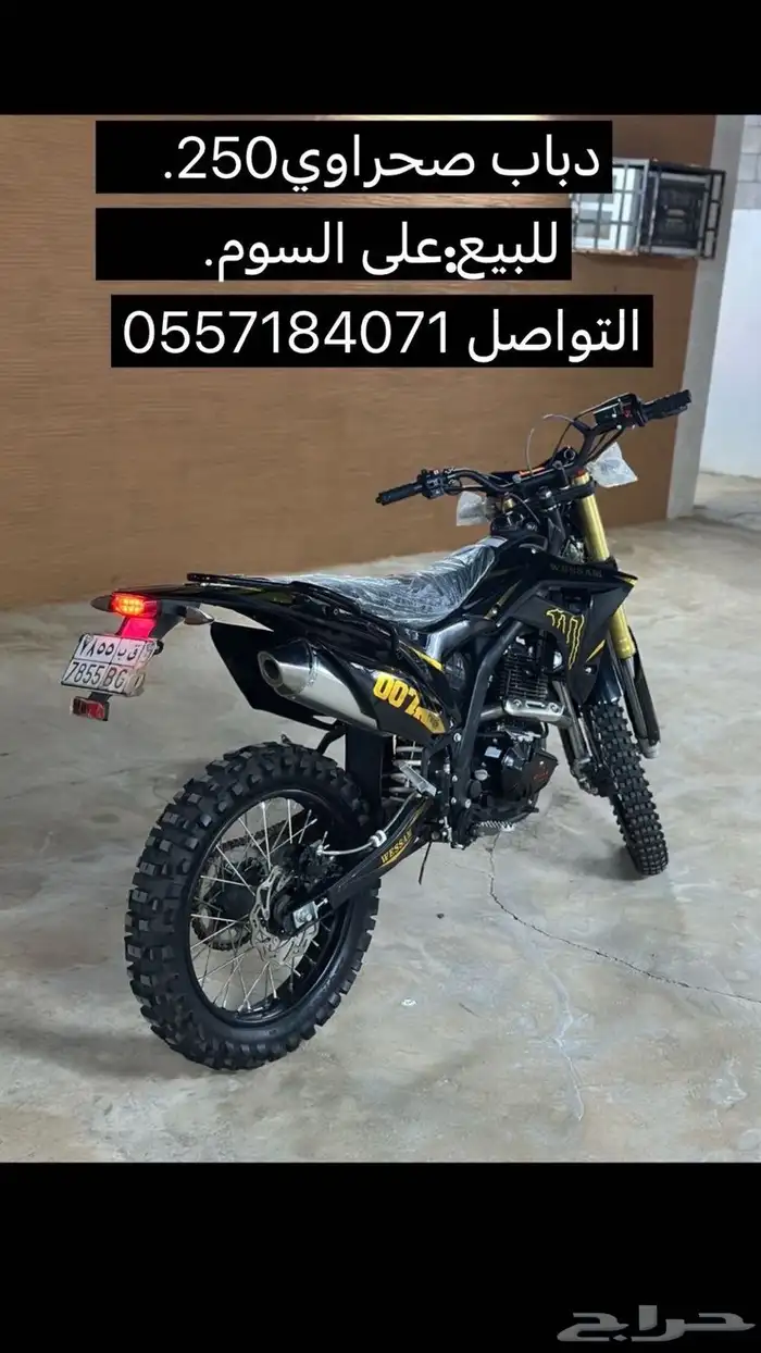 دباب صحراوي 0