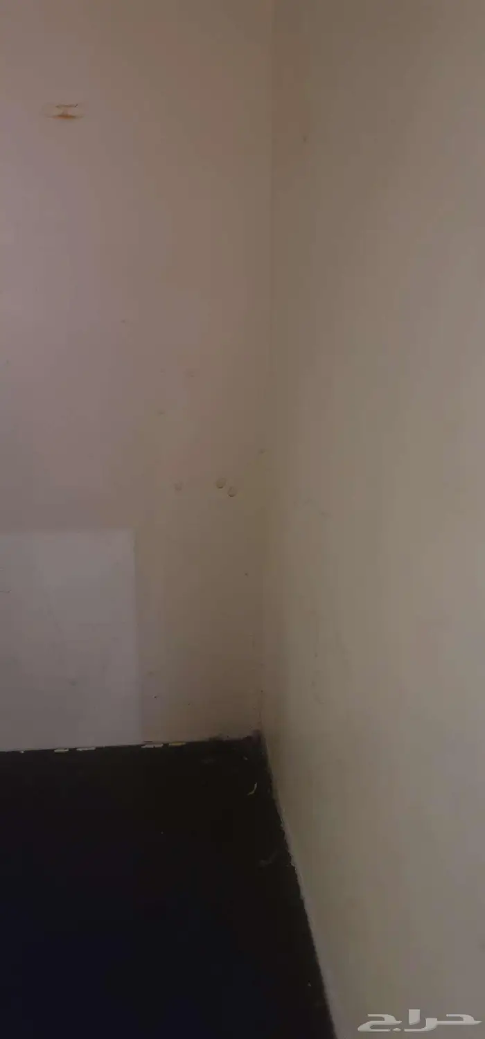 مطلوب شقه غرفه وصاله وحمام مناسبه 0