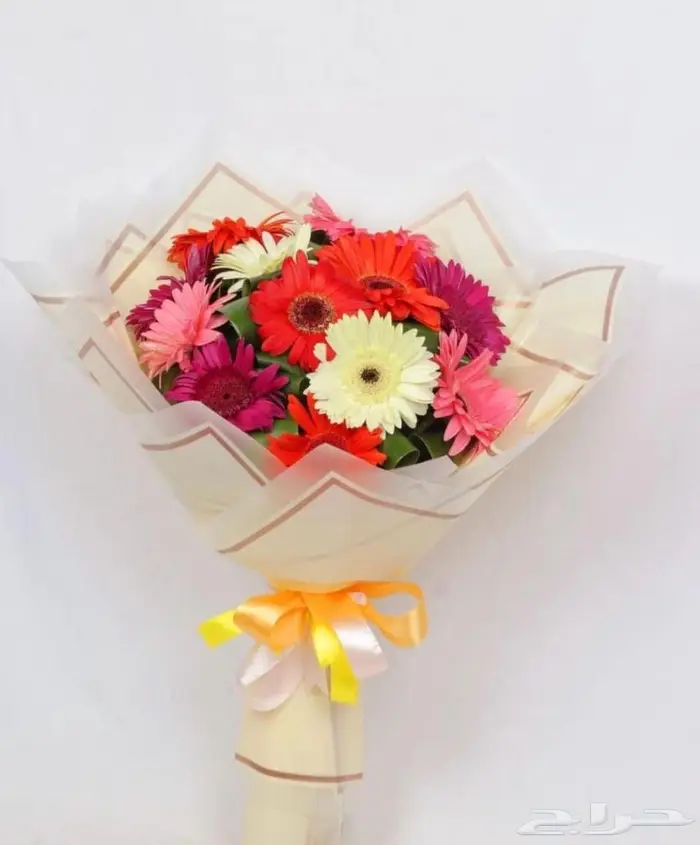 فعاليات اطفال مهرج تشكيل بالون للاطفال رسم على الوجه وغيره 69