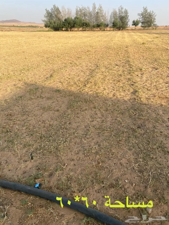 رشاش محوري وبيوت محمية للتقبيل 8